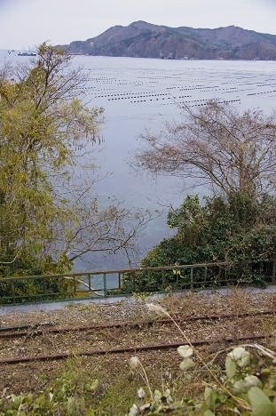 f0172547_041492.jpg