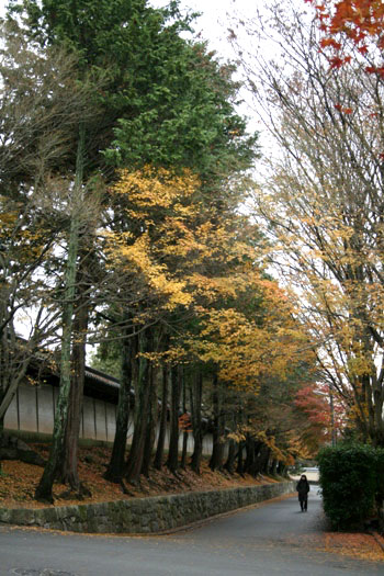 a0167750_9393334.jpg