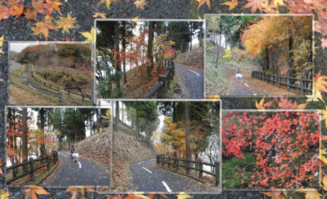 a0201257_14354430.png