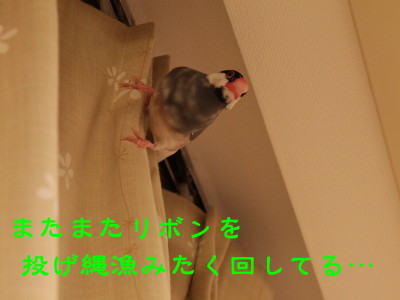 b0158061_21513571.jpg