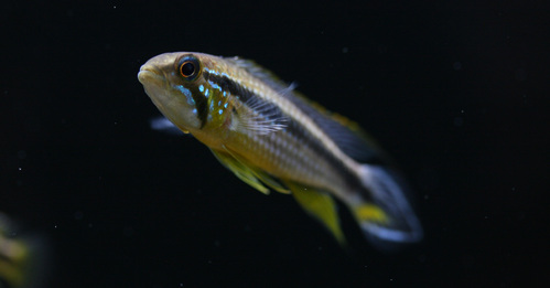 a0162263_20554763.jpg