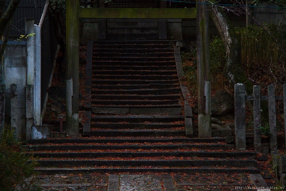 京都凸凹珍道中～2日目　高桐院・今宮神社・あぶり餅_f0102363_9402143.jpg