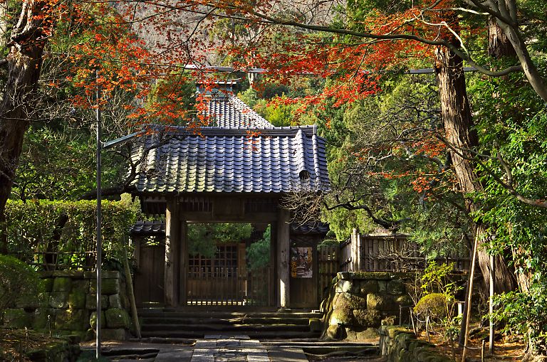 鎌倉　寿福寺(１２月１８日）_c0057265_331373.jpg