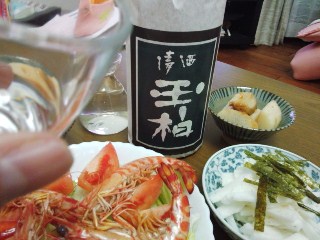 プチ便り(完醸玉柏)_a0206870_974061.jpg
