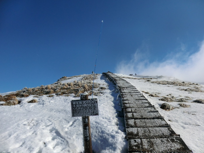 b0185573_20244032.jpg
