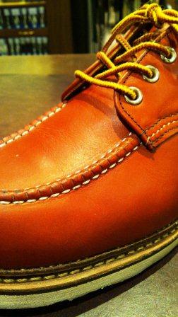 RED WING オックスフォード × サルトレカミエ SR300_e0197577_1710499.jpg