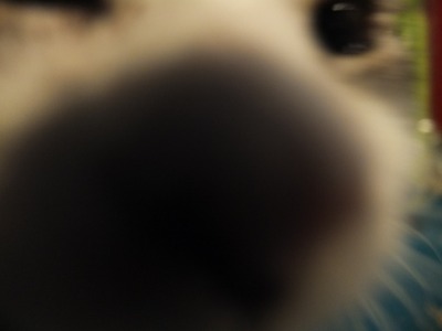 a0180681_21284218.jpg