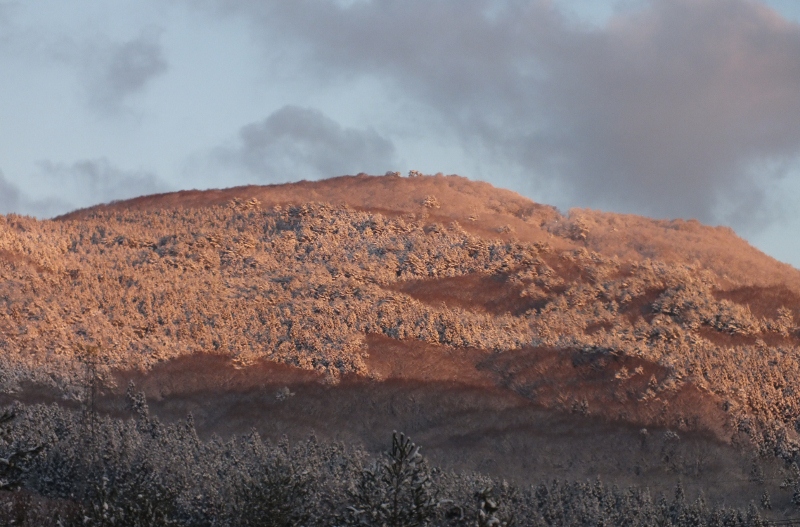 f0082181_972021.jpg