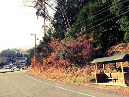 木屋平村_f0172281_10341492.jpg