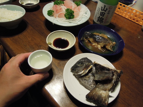 釣行と削り込み_d0195183_323864.jpg