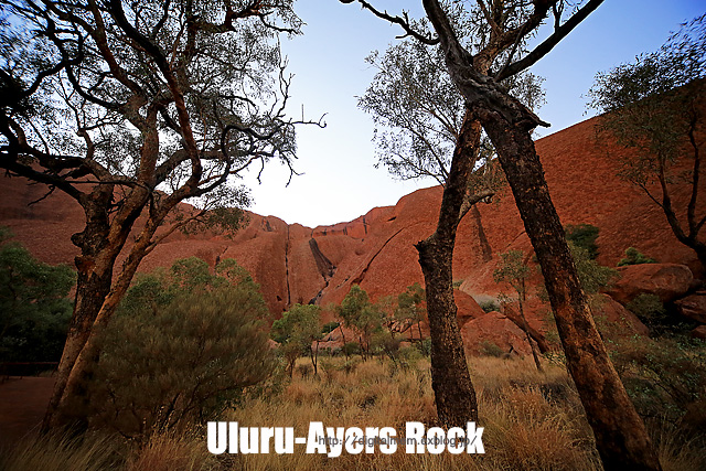 Uluru登山！｢オーストラリア編｣-22_c0083985_1649471.jpg