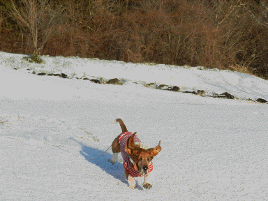 f0205887_20254397.gif