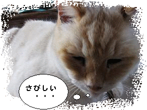 a0284289_19482419.gif