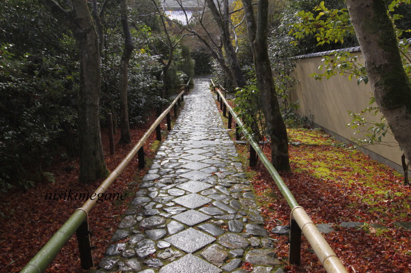 鷹ヶ峰　光悦寺_b0195589_1434682.jpg