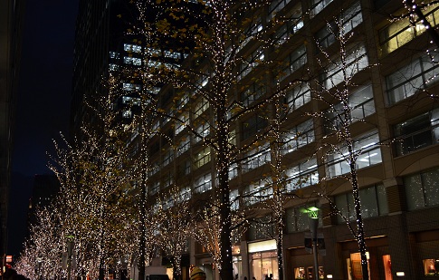 d0099791_0242321.jpg