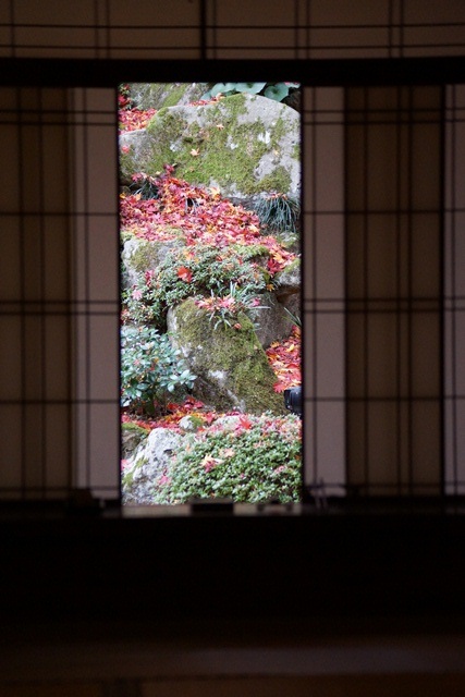 d0181492_16391632.jpg