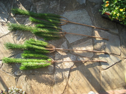 e0260793_0494841.jpg