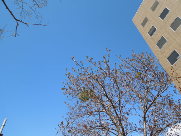 a0292602_0102635.jpg