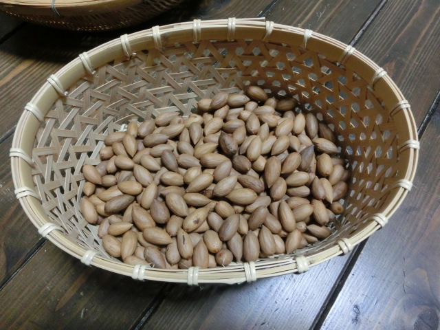a0203003_21233782.jpg