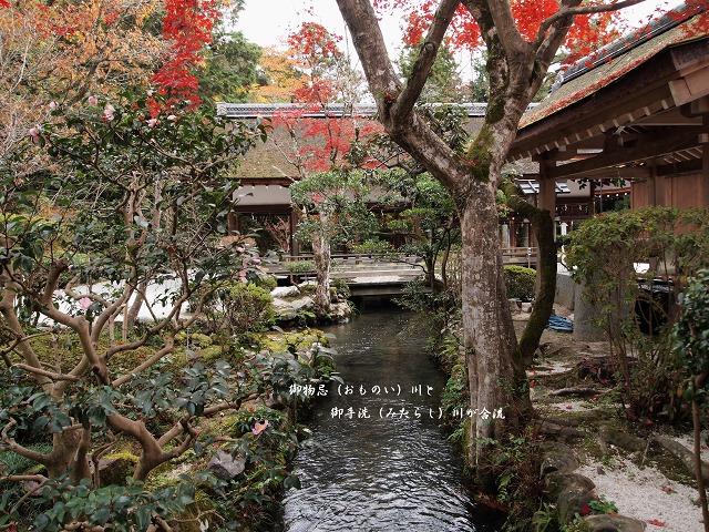 【上賀茂神社（賀茂別雷神社）の晩秋_e0039703_23225592.jpg