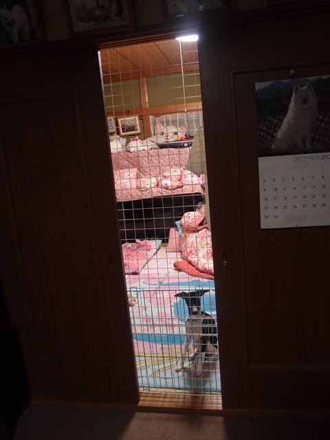 e0018604_212419.jpg