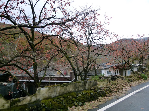 a0140305_1215257.jpg