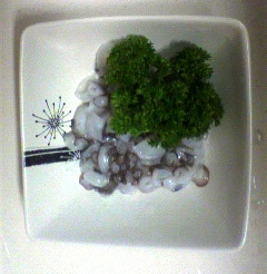 2012 ラストエギング ~釣納め~_f0163105_14211634.jpg