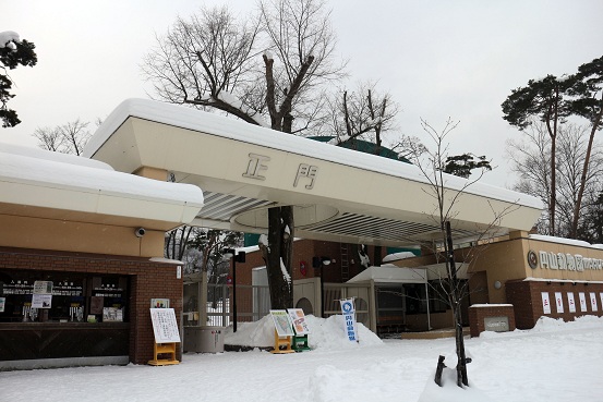 雪に覆われた冬の札幌 円山動物園 冬景色と新しい生命 Polarbearology Conjectaneum