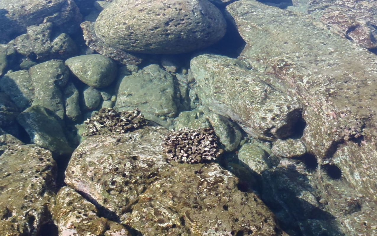 c0222430_2129744.jpg