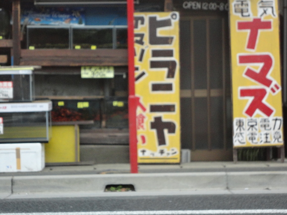d0178136_17772.jpg