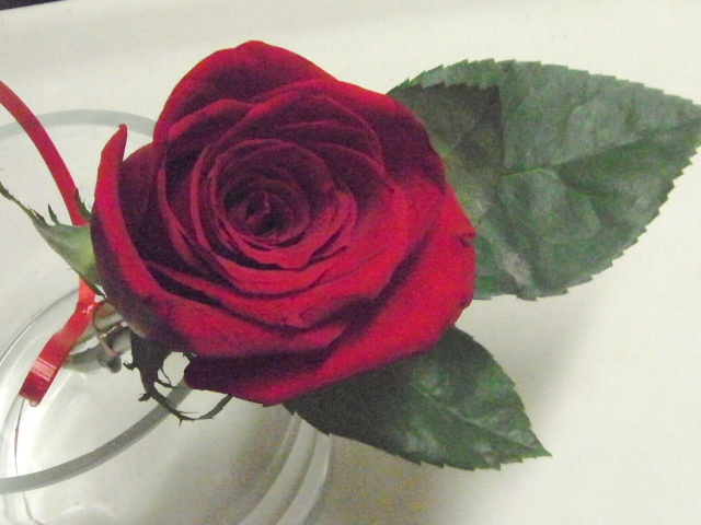 d0063149_22451279.jpg