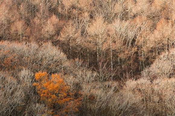 b0283455_10265187.jpg