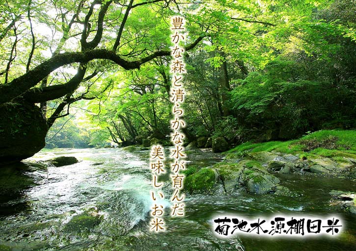 菊池水源棚田米 来年もまた良いお米を育てるための土作り_a0254656_17365978.jpg