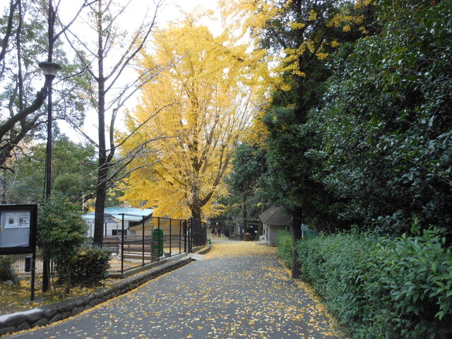 c0001670_214114.jpg