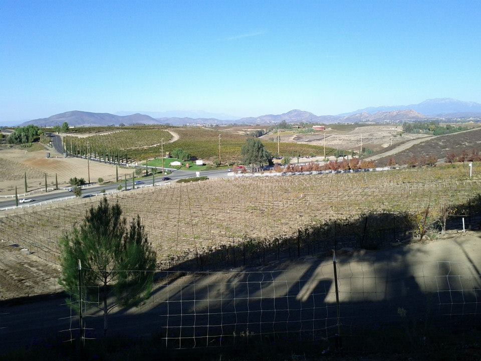 e0161692_9375797.jpg