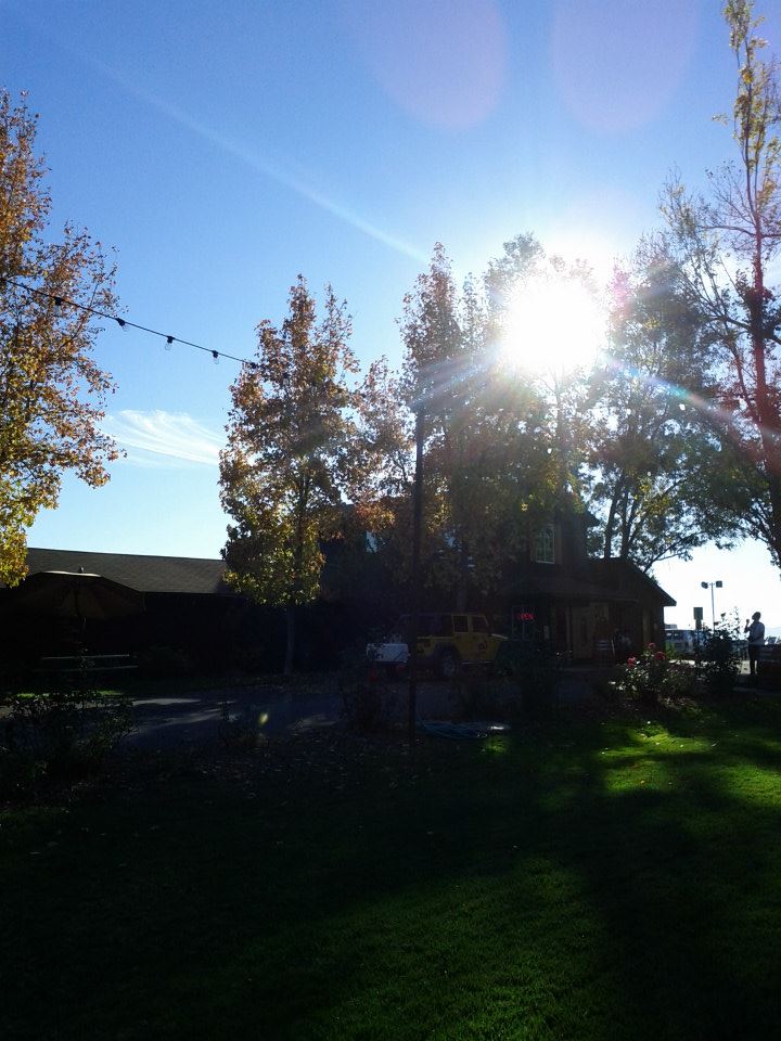 e0161692_937979.jpg