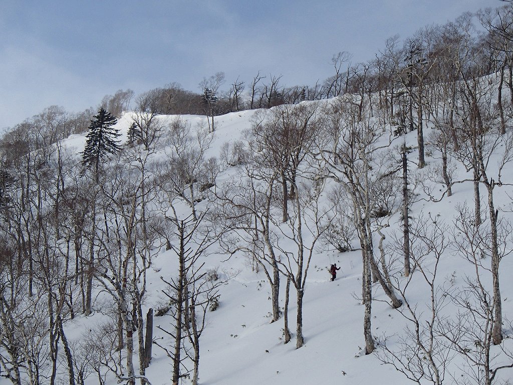  12月21日、イチャンコッペ山と幌平山－シマエナガさんの写真から－_f0138096_2048758.jpg