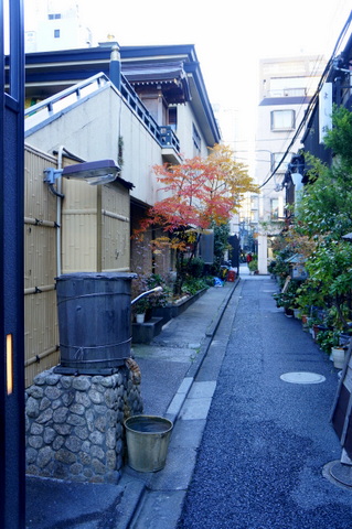 a0242809_10415.jpg