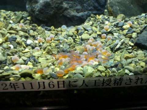 f0127610_1849314.jpg