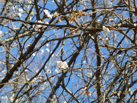 f0033314_1414987.jpg