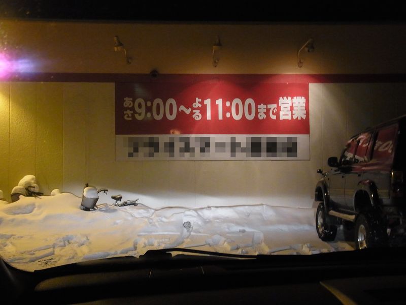低温と積雪の下で_c0025115_21502985.jpg