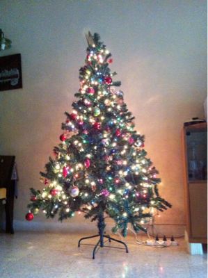 今年のクリスマスツリー_c0145615_14151564.jpg