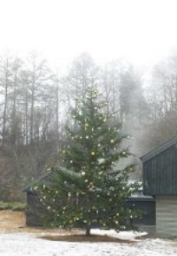 クリスマスin軽井沢_d0085018_12501723.jpg