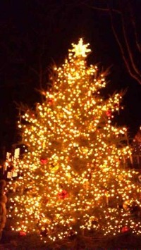クリスマスin軽井沢_d0085018_13265984.jpg