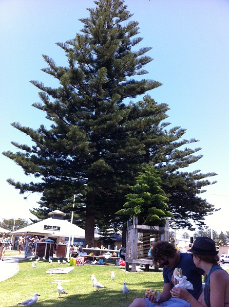 c0076823_2045542.jpg