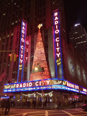 ニューヨーク☆クリスマスシーズンの夜景☆_f0095325_1352332.jpg