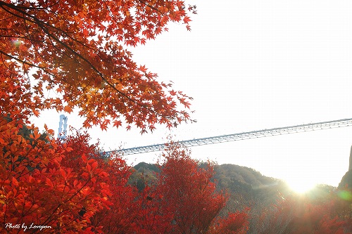 c0136926_0221111.jpg