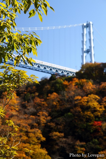 c0136926_153166.jpg