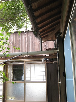 d0077626_164069.jpg