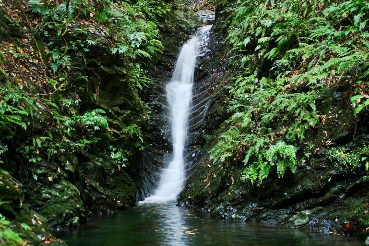 e0033229_2140269.jpg